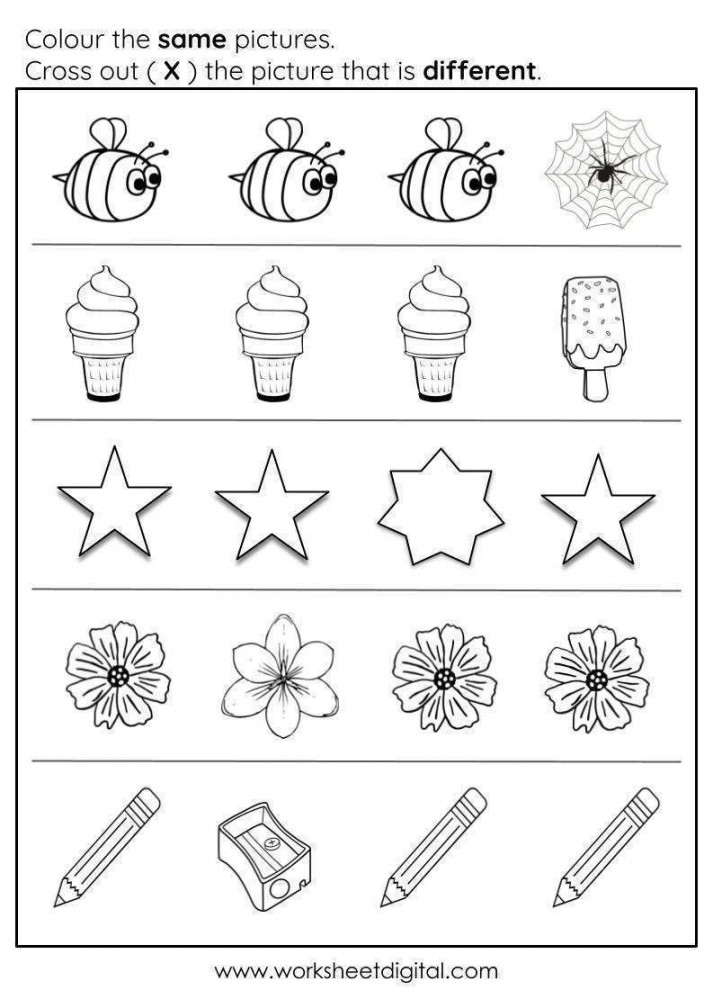 Same and Different Worksheet  - Worksheet Digital