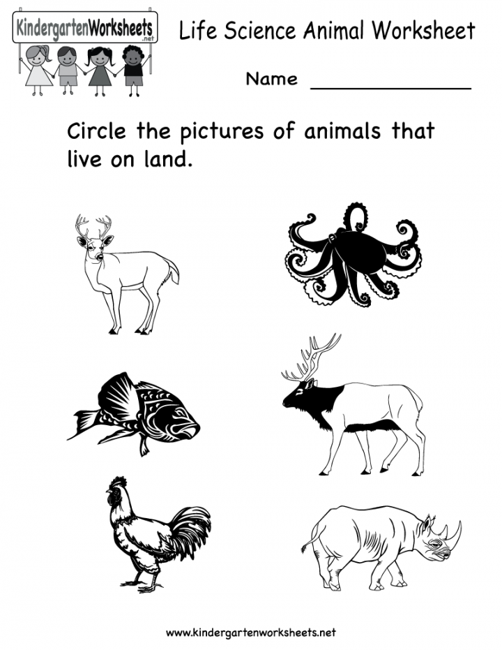 science printables for kids  Life Science Animal Worksheet - Free