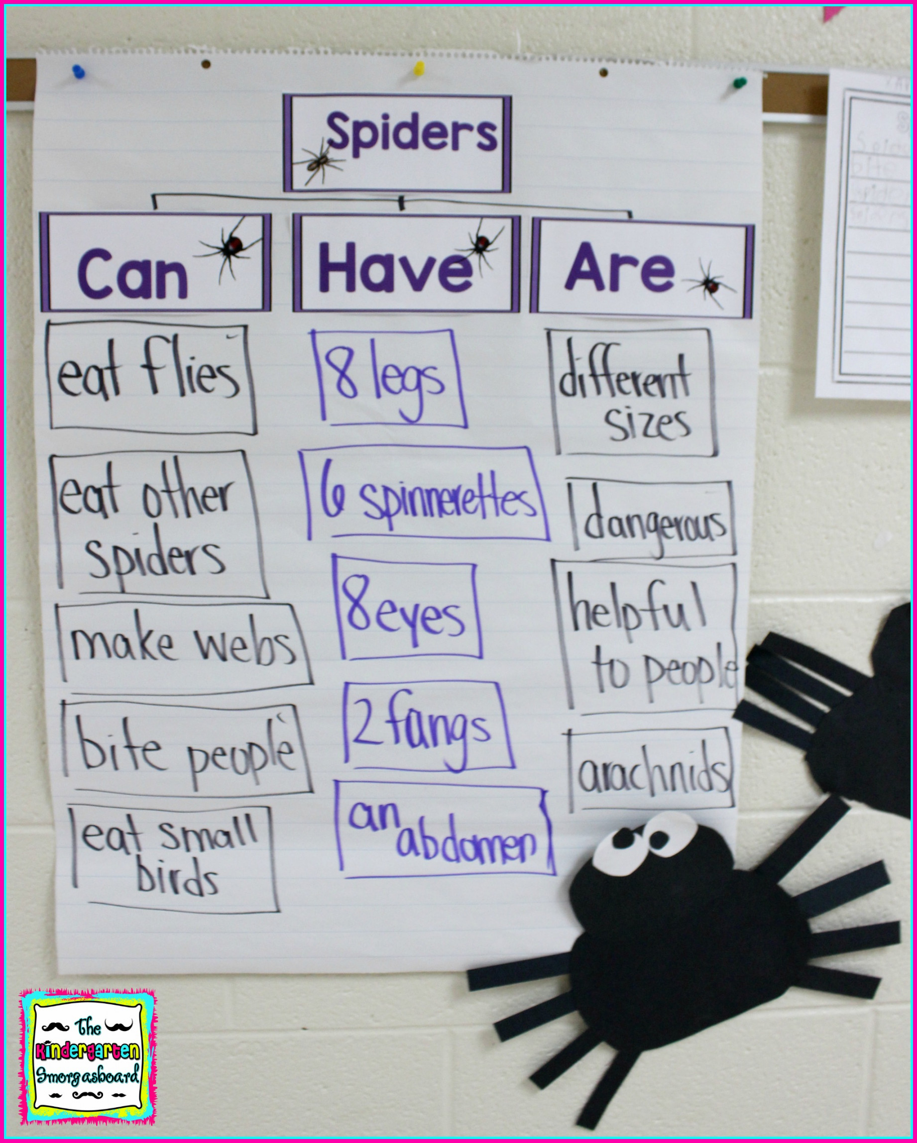 spider-can-have-are-chart – The Kindergarten Smorgasboard