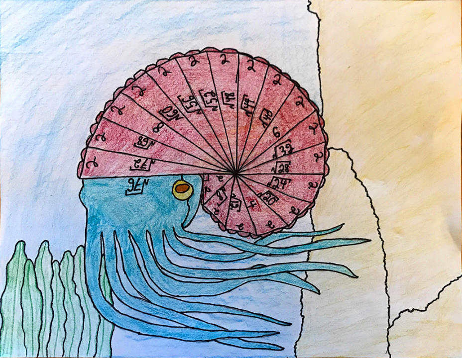 Spiral of Theodorus  Models of Excellence