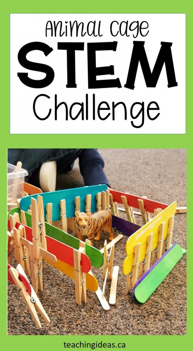 STEM for Kids - Animal Cages - Hands-On Teaching Ideas