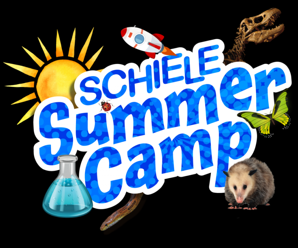 Summer Camps for Rising st Graders - Schiele Museum