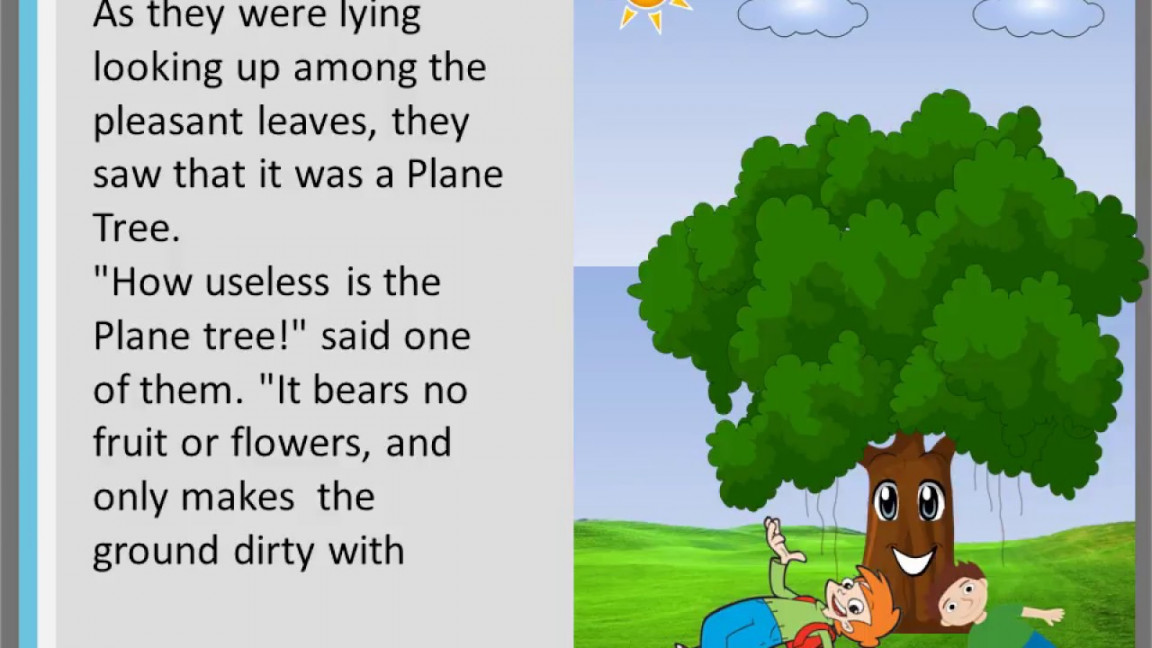 The plain tree  Read aloud Story Kindergarten