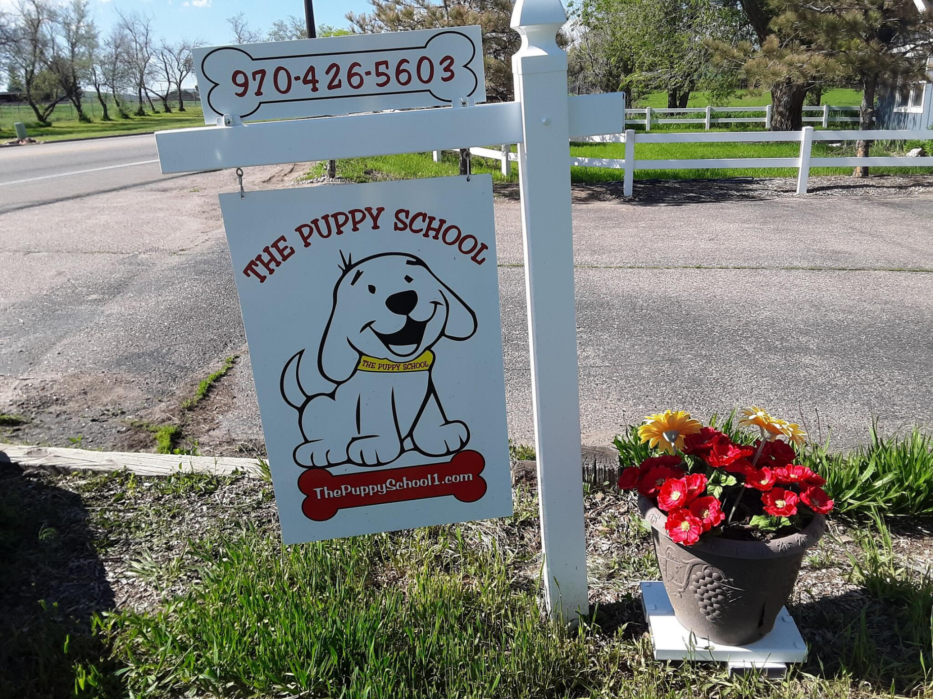 The Puppy School - Fort Collins, CO - Nextdoor