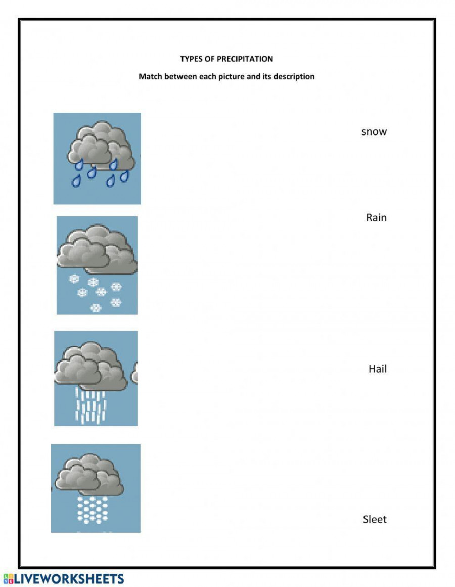 Types of Precipitation worksheet  Live Worksheets