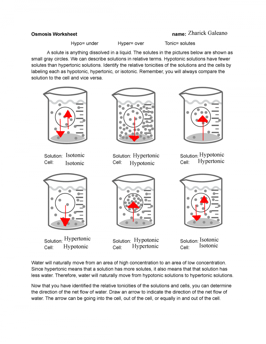 Zharick Galeano - Osmosis Worksheet- - Osmosis Worksheet name