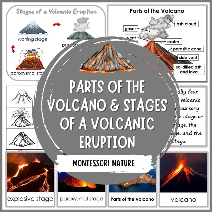 3 Types Of Volcanoes Worksheet 59