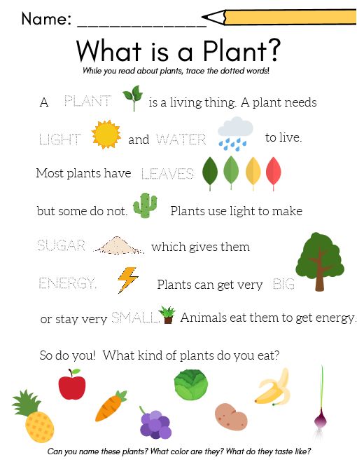 50+ Custom What A Plant Needs To Grow Worksheet 43