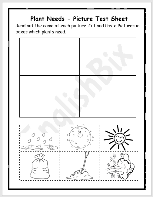 50+ Custom What A Plant Needs To Grow Worksheet 48