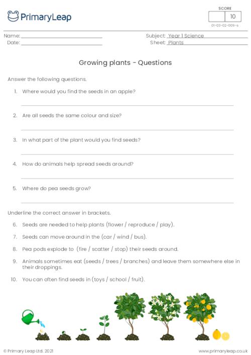 50+ Custom What A Plant Needs To Grow Worksheet 52