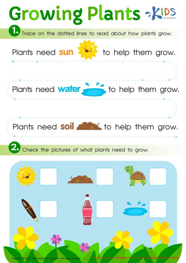 50+ Custom What A Plant Needs To Grow Worksheet 53