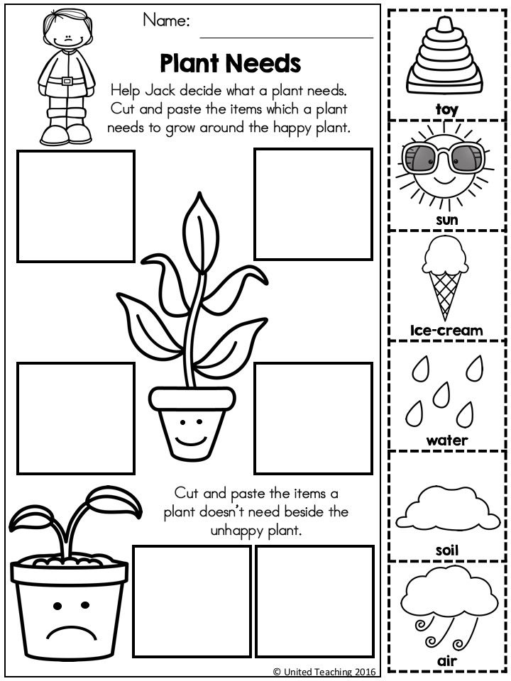 50+ Custom What A Plant Needs To Grow Worksheet 54