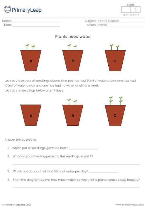 50+ Custom What A Plant Needs To Grow Worksheet 60