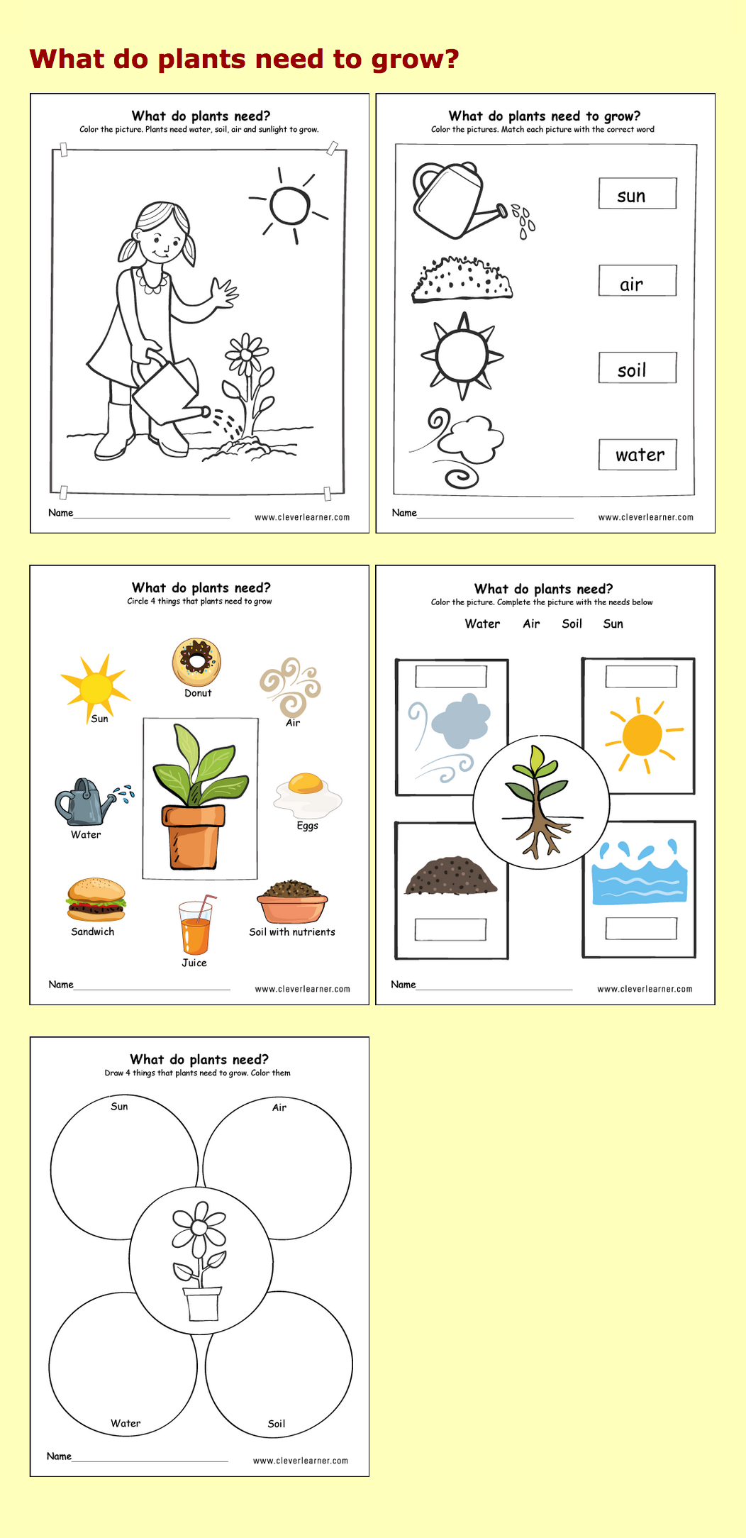 50+ Custom What A Plant Needs To Grow Worksheet 61