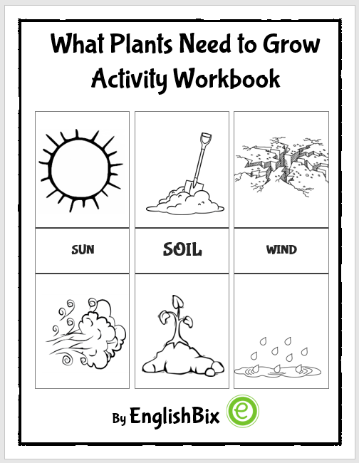 50+ Custom What A Plant Needs To Grow Worksheet 63