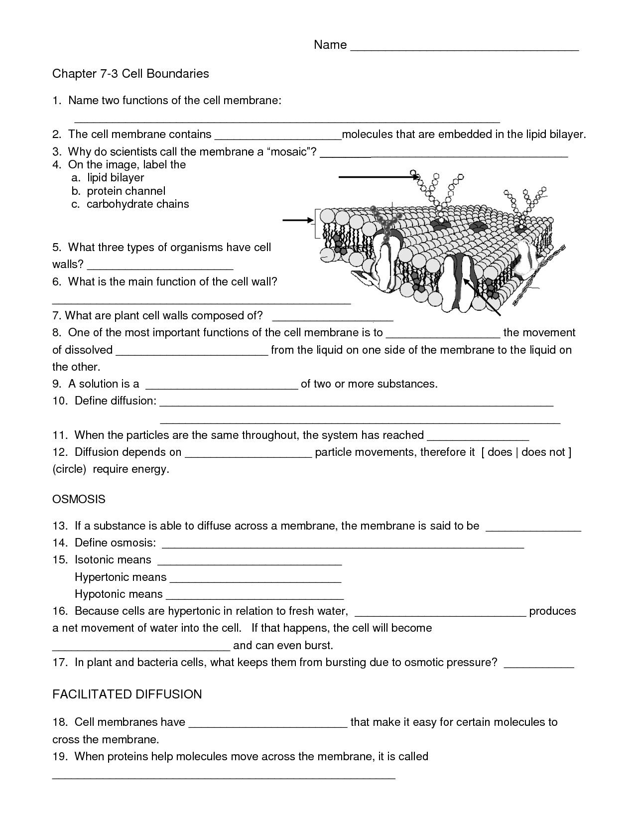 A Cell A Bration Worksheet Answers 109