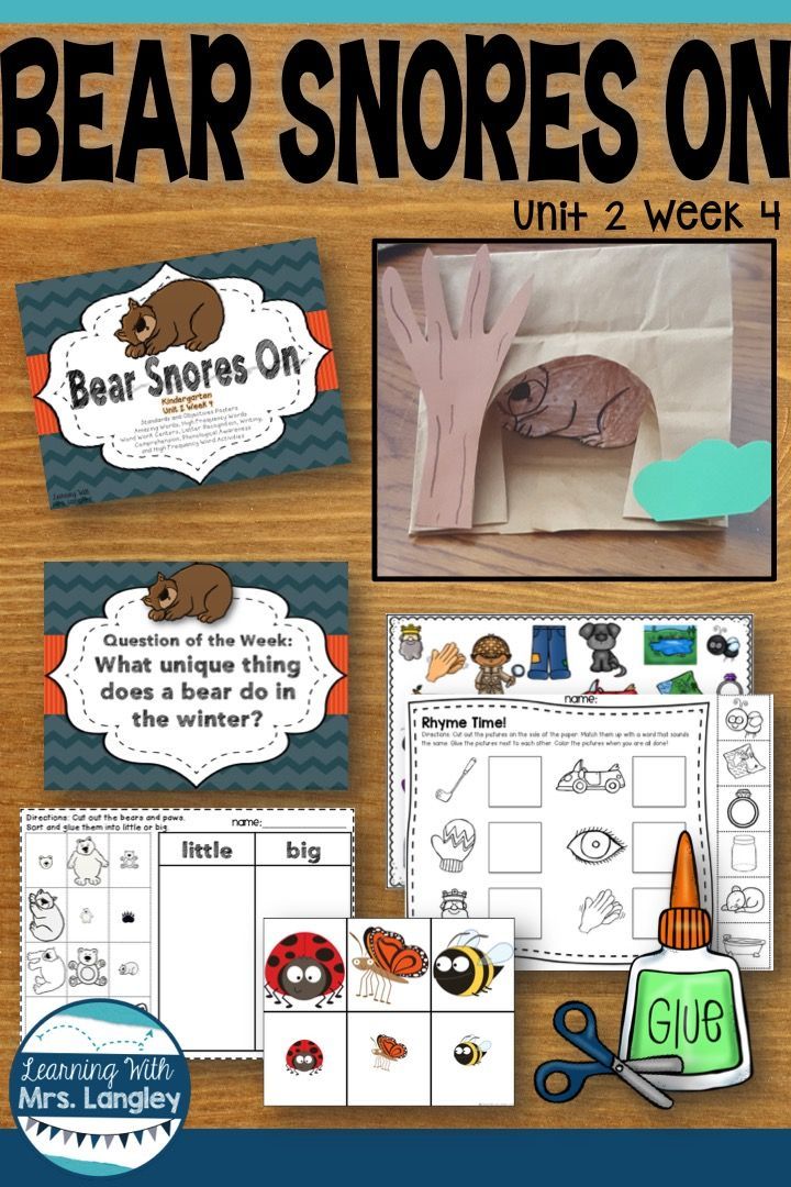 Bear Snores On Lesson Plans 6