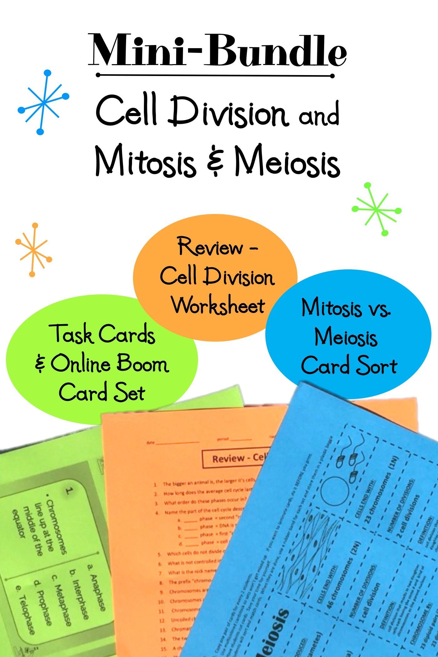 Cell Division Mitosis And Cytokinesis Worksheet 35