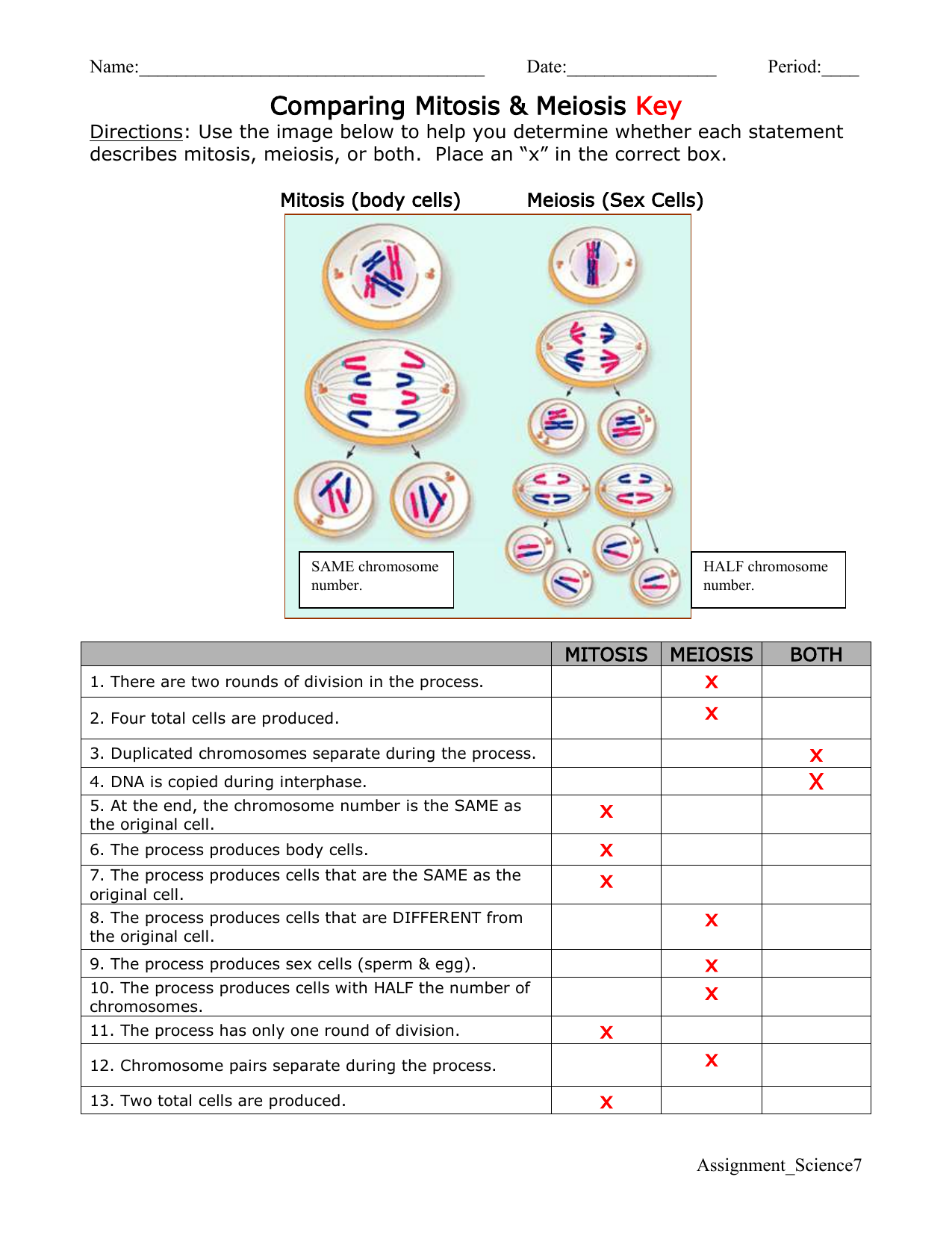 Cell Division Mitosis And Cytokinesis Worksheet 67