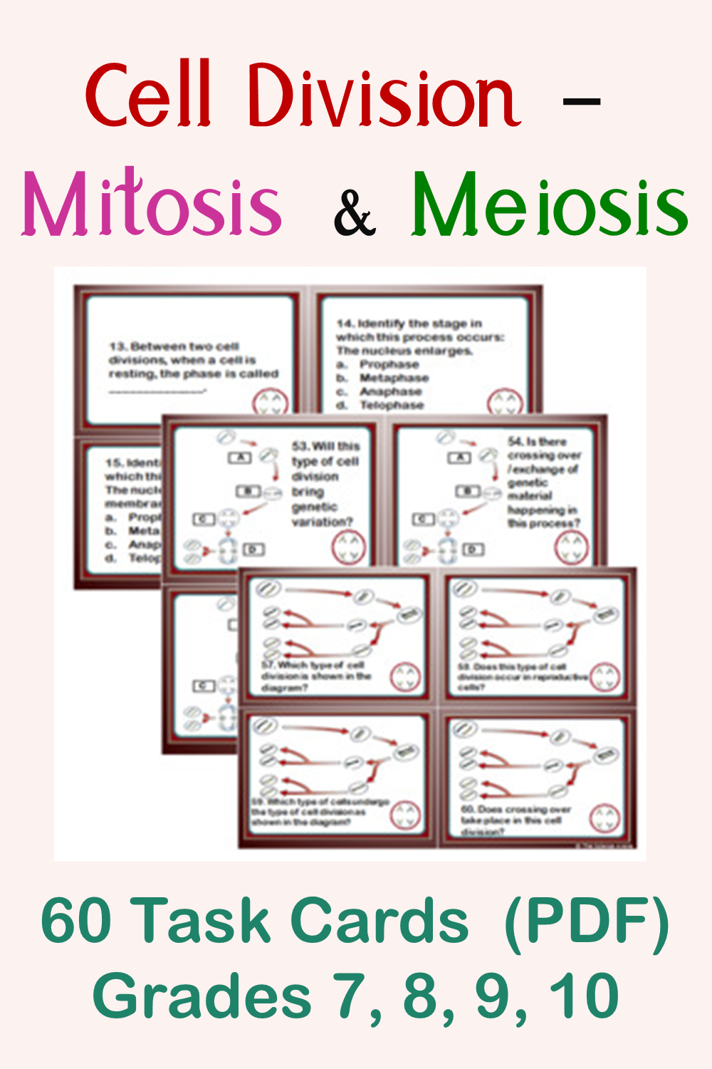 Cell Division Mitosis And Cytokinesis Worksheet 74