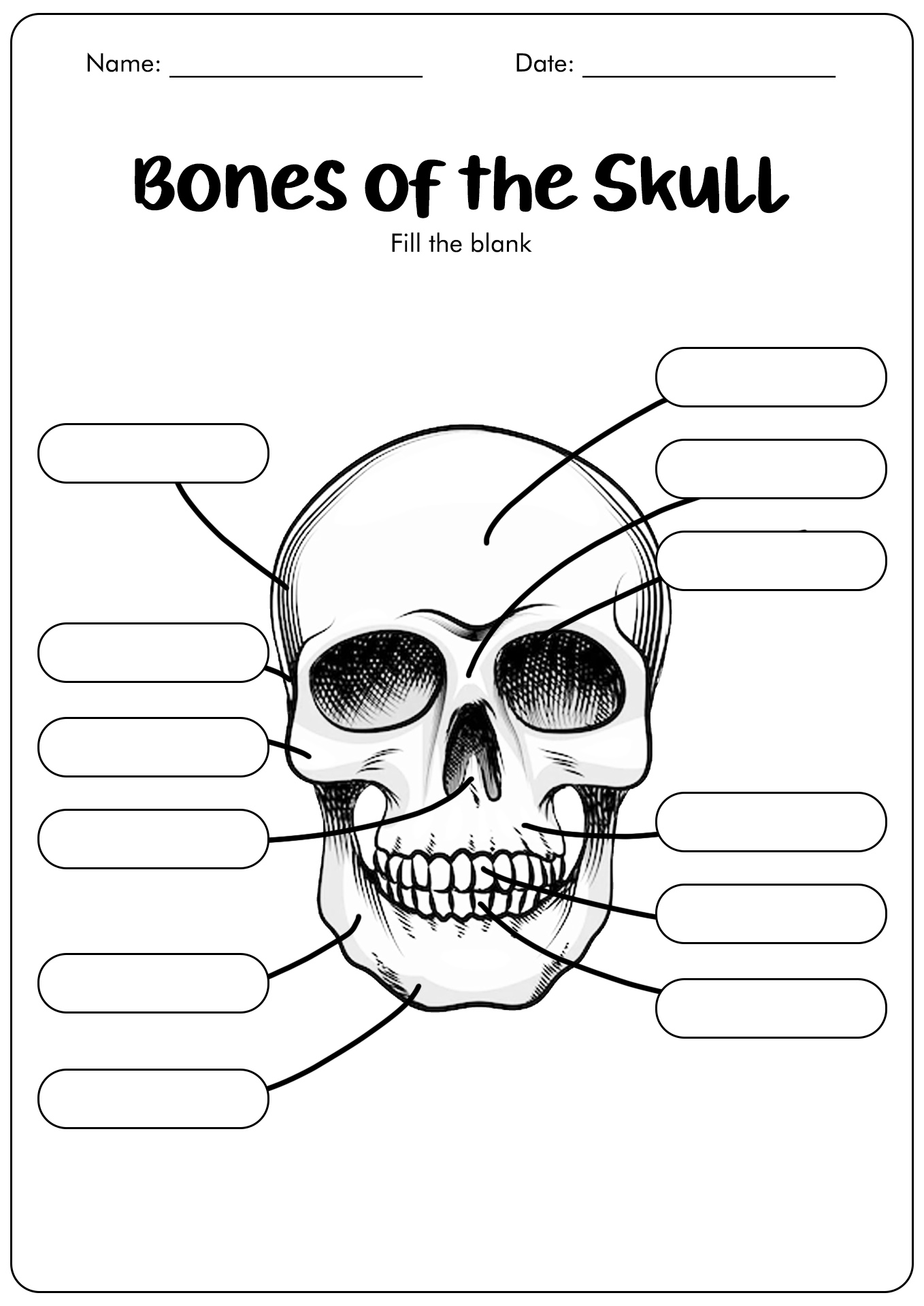 Fresh Label Parts Of The Face Worksheet 47