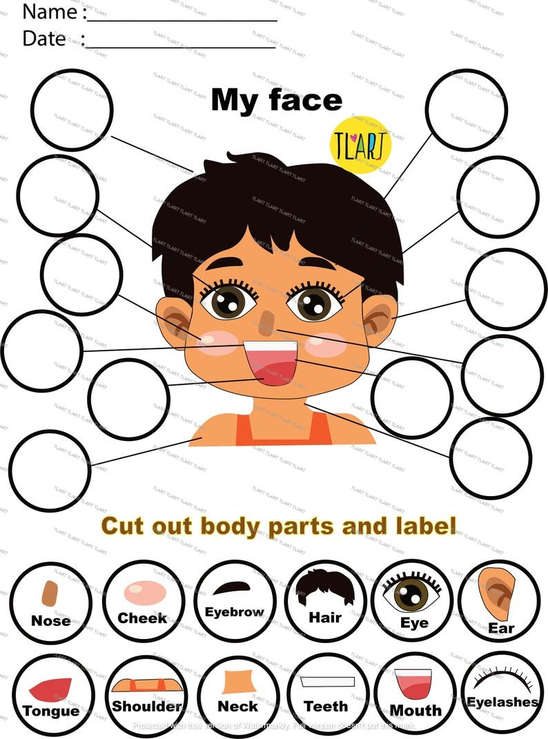Fresh Label Parts Of The Face Worksheet 48