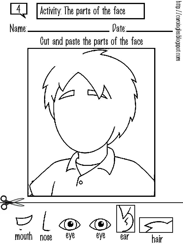 Fresh Label Parts Of The Face Worksheet 51