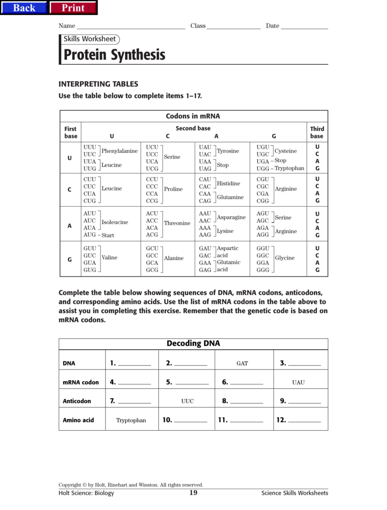 60 Best Protein Synthesis Worksheets 33
