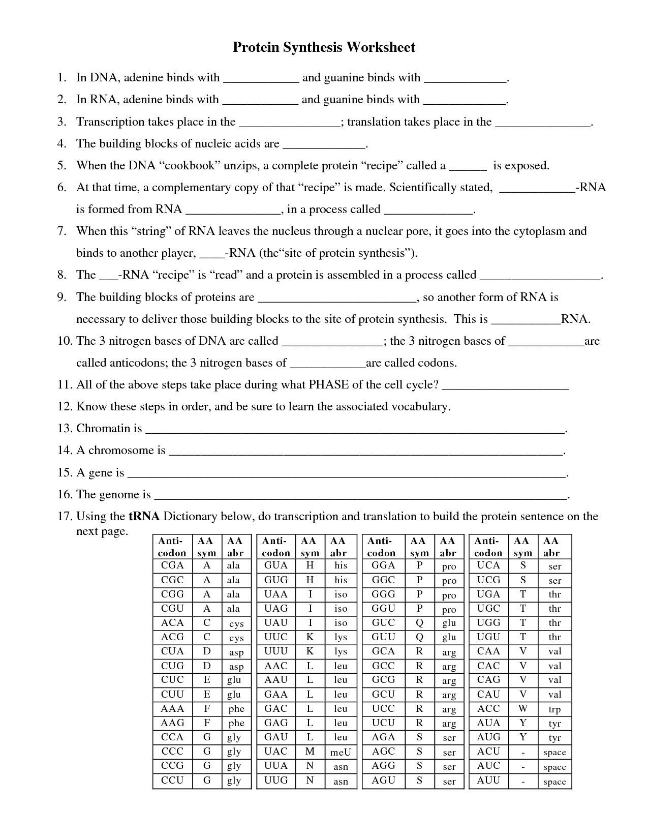 60 Best Protein Synthesis Worksheets 46
