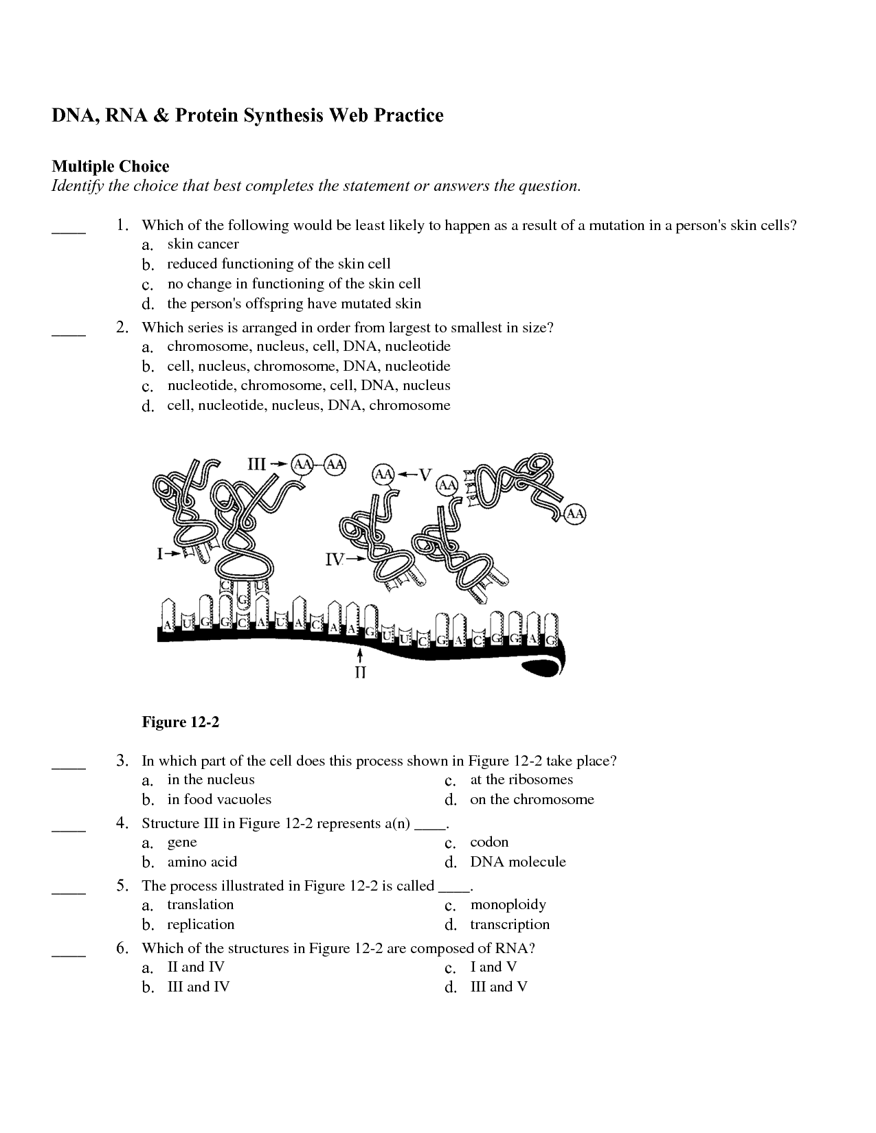 60 Best Protein Synthesis Worksheets 5