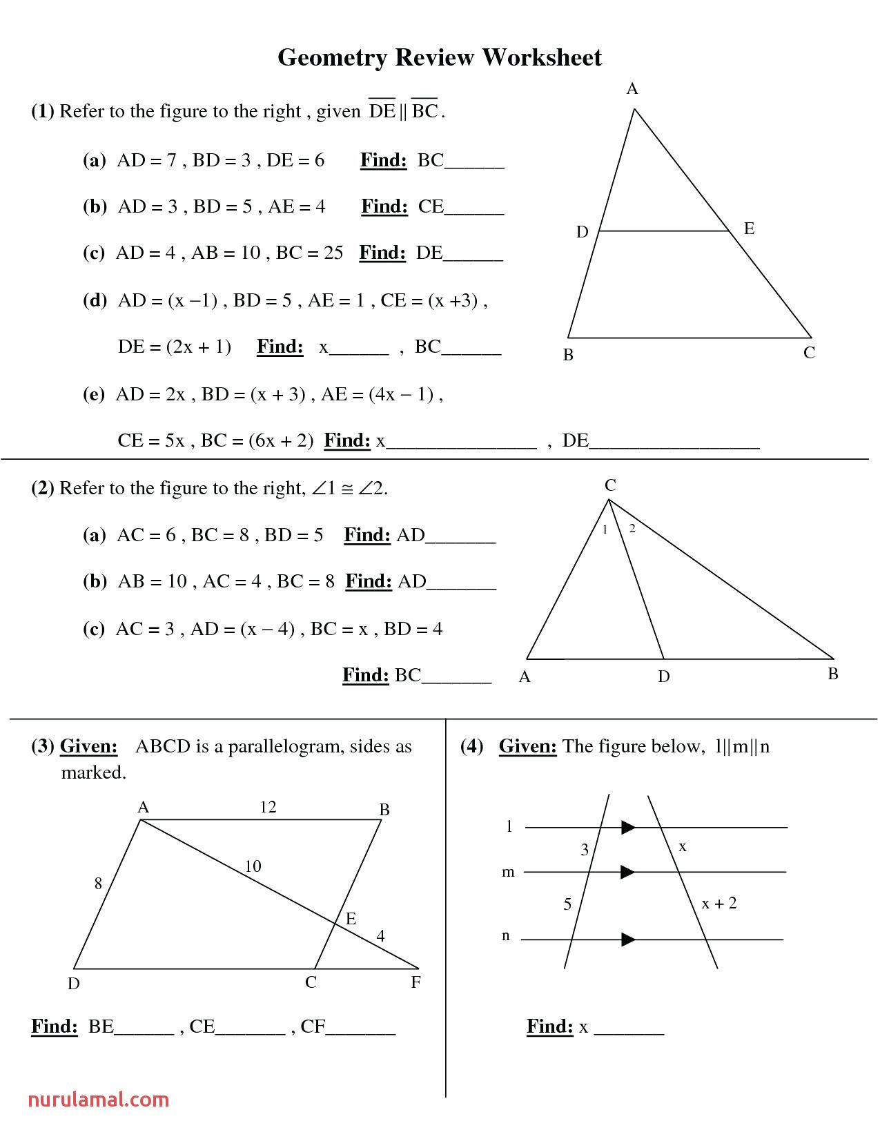 20 Math Worksheets 8th Grade Printable PDF