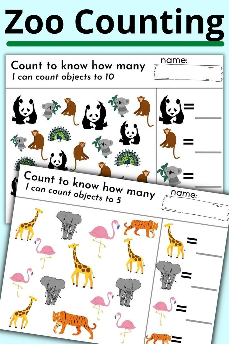 20 Zoo Animal Math Worksheets Pdf