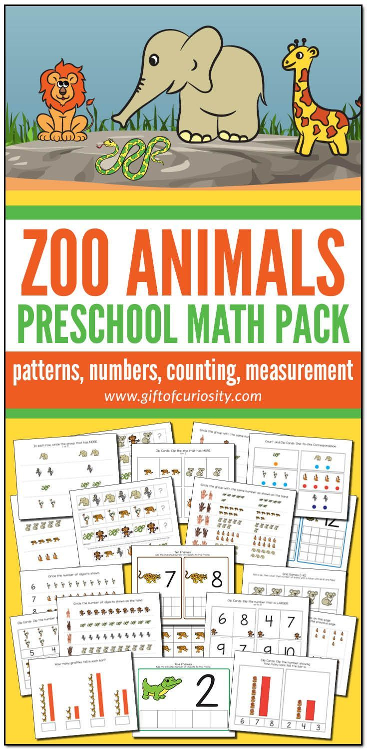 20 Zoo Animal Math Worksheets Pdf