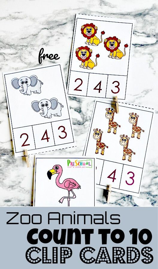 20 Zoo Animal Math Worksheets Pdf