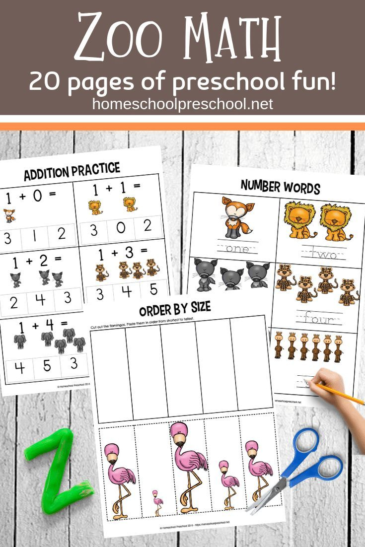 20 Zoo Math Worksheets Preschool Free