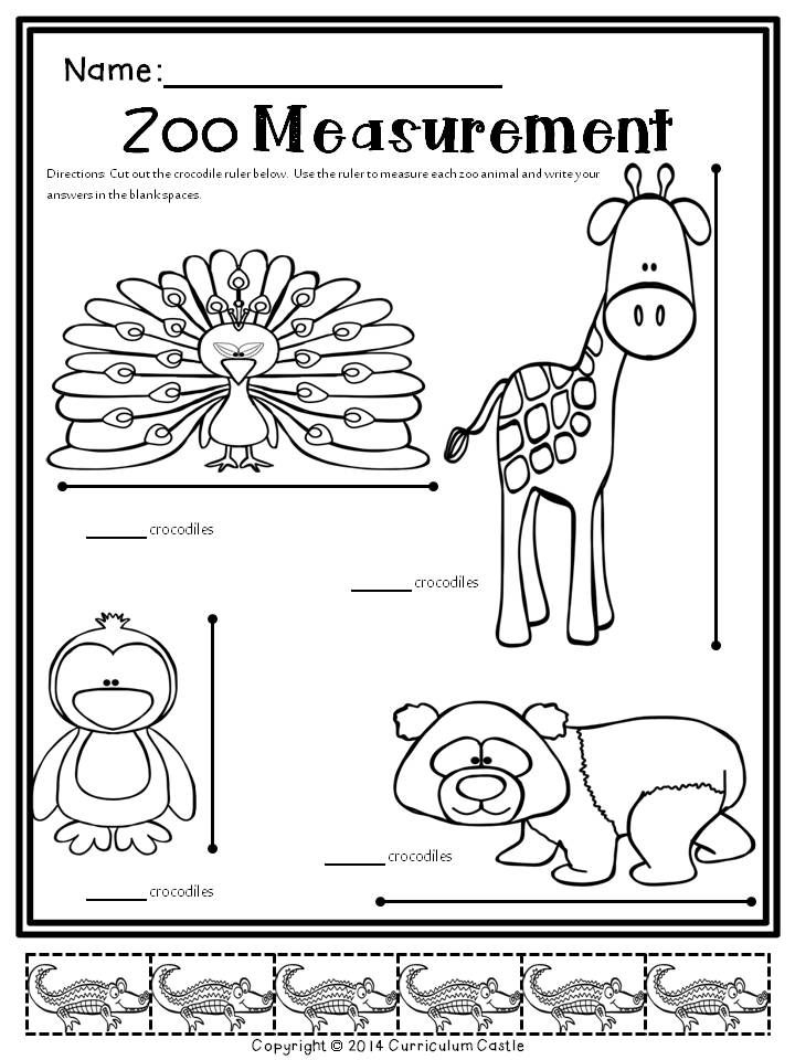 20 Zoo Math Worksheets Preschool Pdf