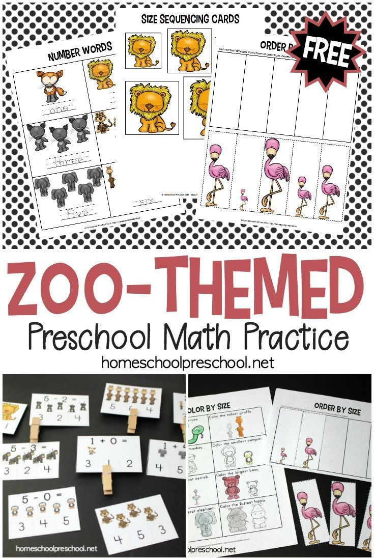 30 Zoo Animal Math Worksheets Free