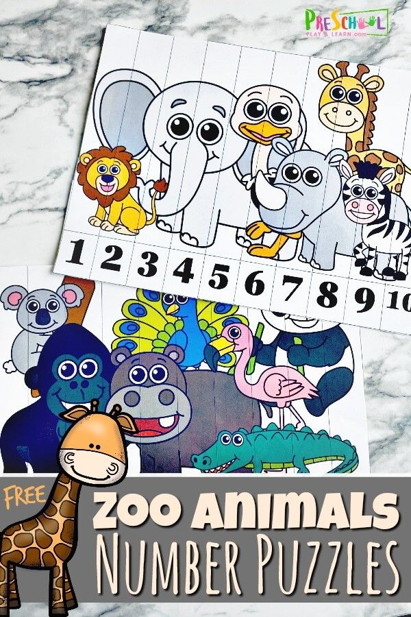 30 Zoo Animal Math Worksheets Free