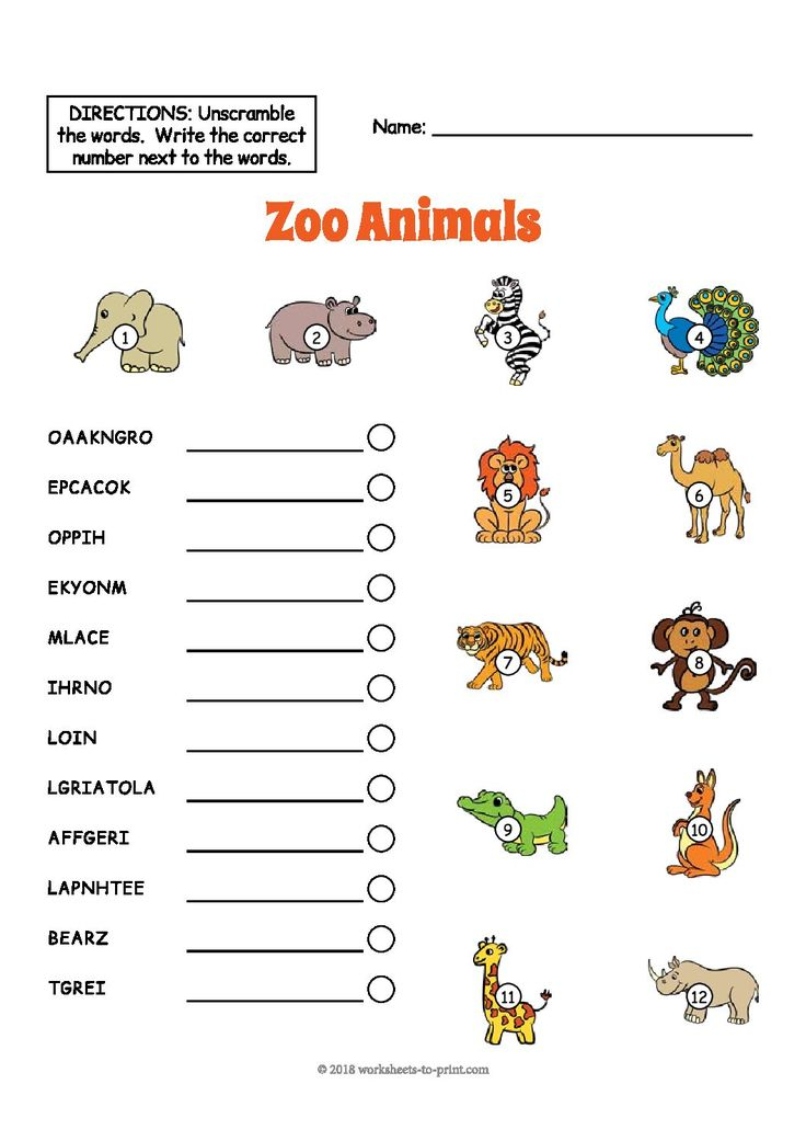 30 Zoo Animal Math Worksheets Pdf