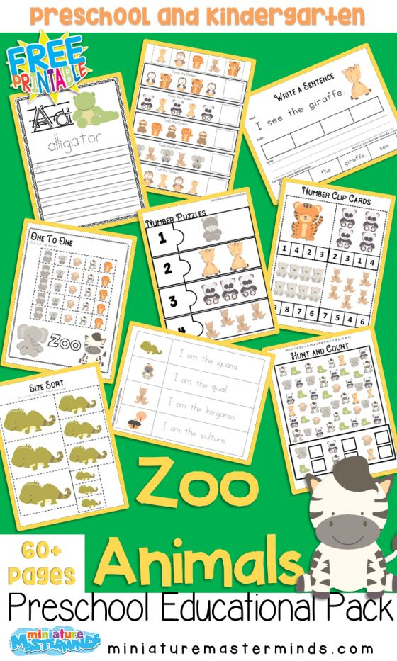 30 Zoo Math Worksheets Preschool Free