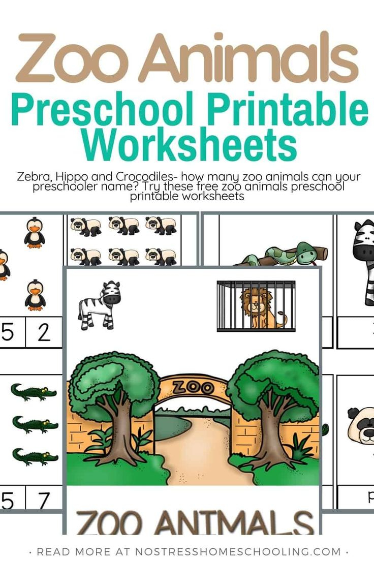 30 Zoo Math Worksheets Preschool Pdf