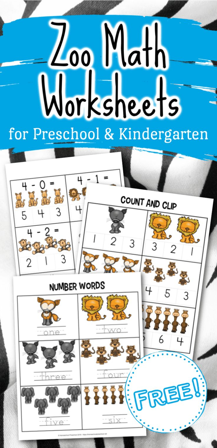 35 Zoo Animal Math Worksheets Free