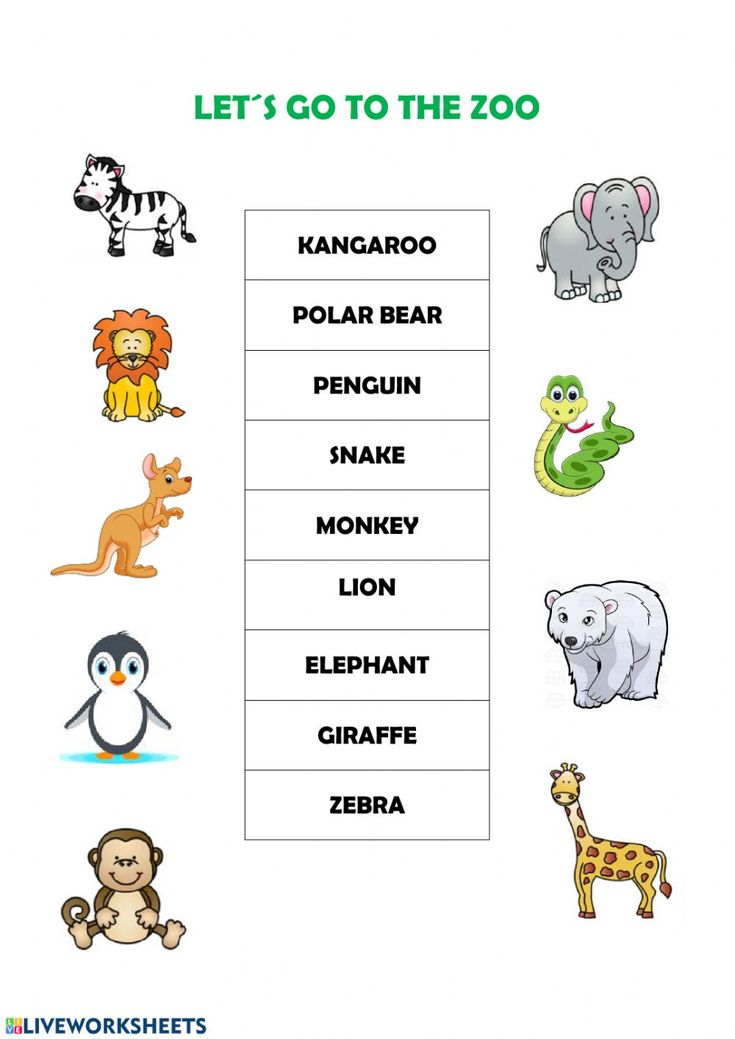 35 Zoo Animal Math Worksheets Free