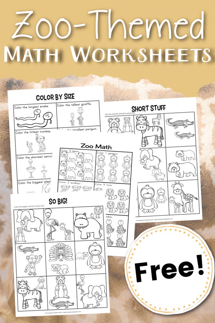 35 Zoo Math Worksheets Preschool Download