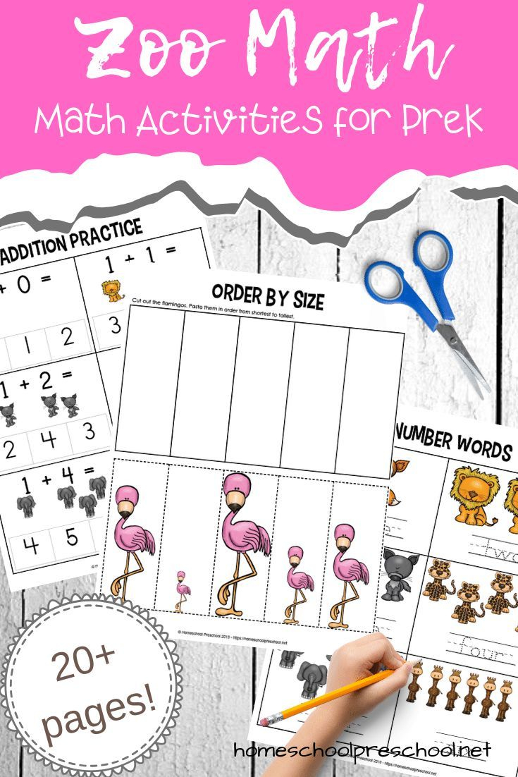 35 Zoo Math Worksheets Preschool Download