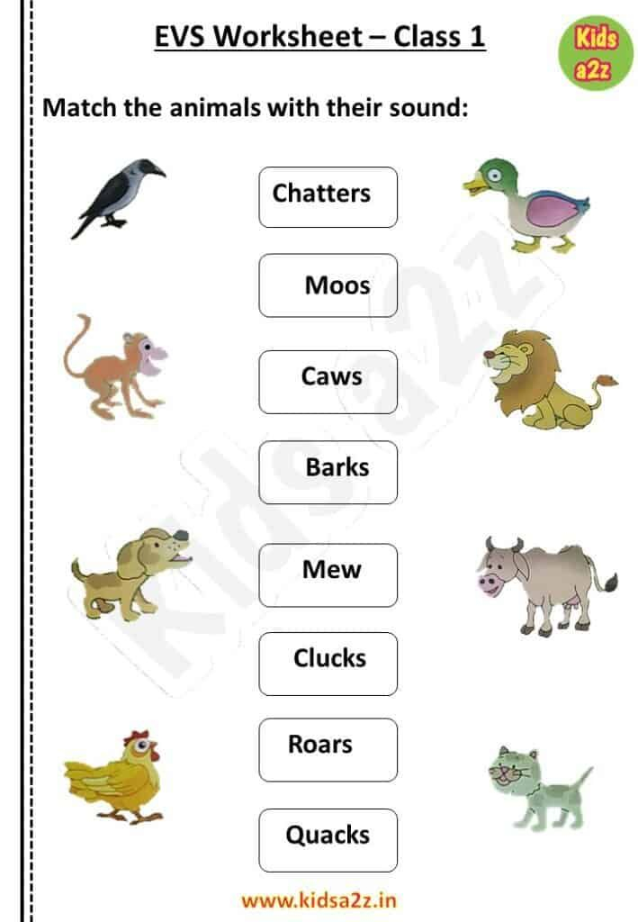 20 Evs Worksheets For Kindergarten On Animals