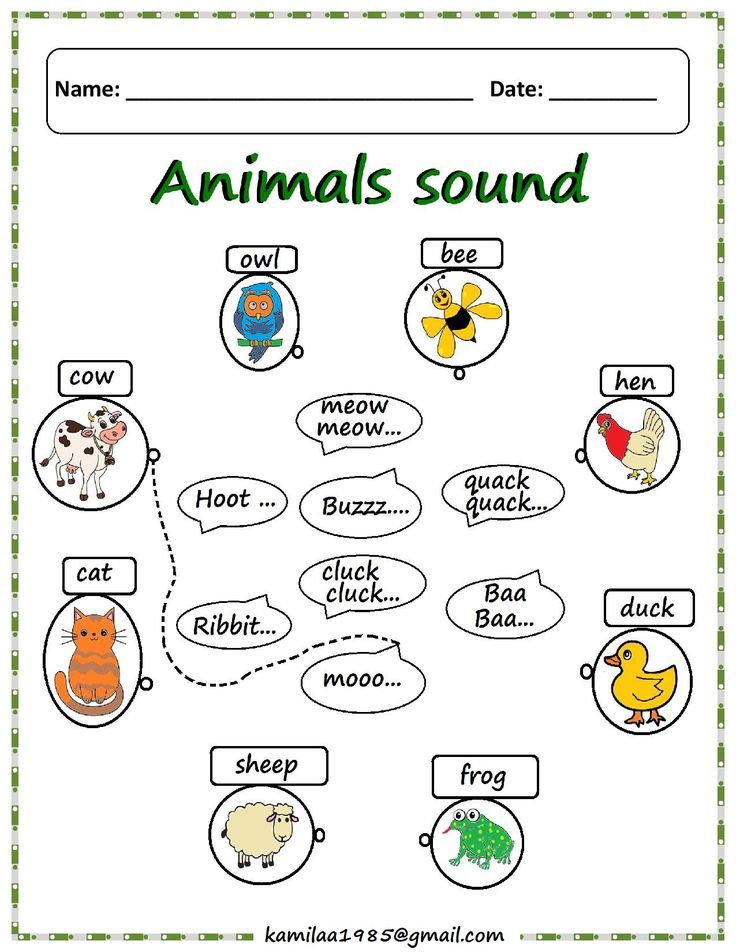 20 Evs Worksheets For Kindergarten On Animals