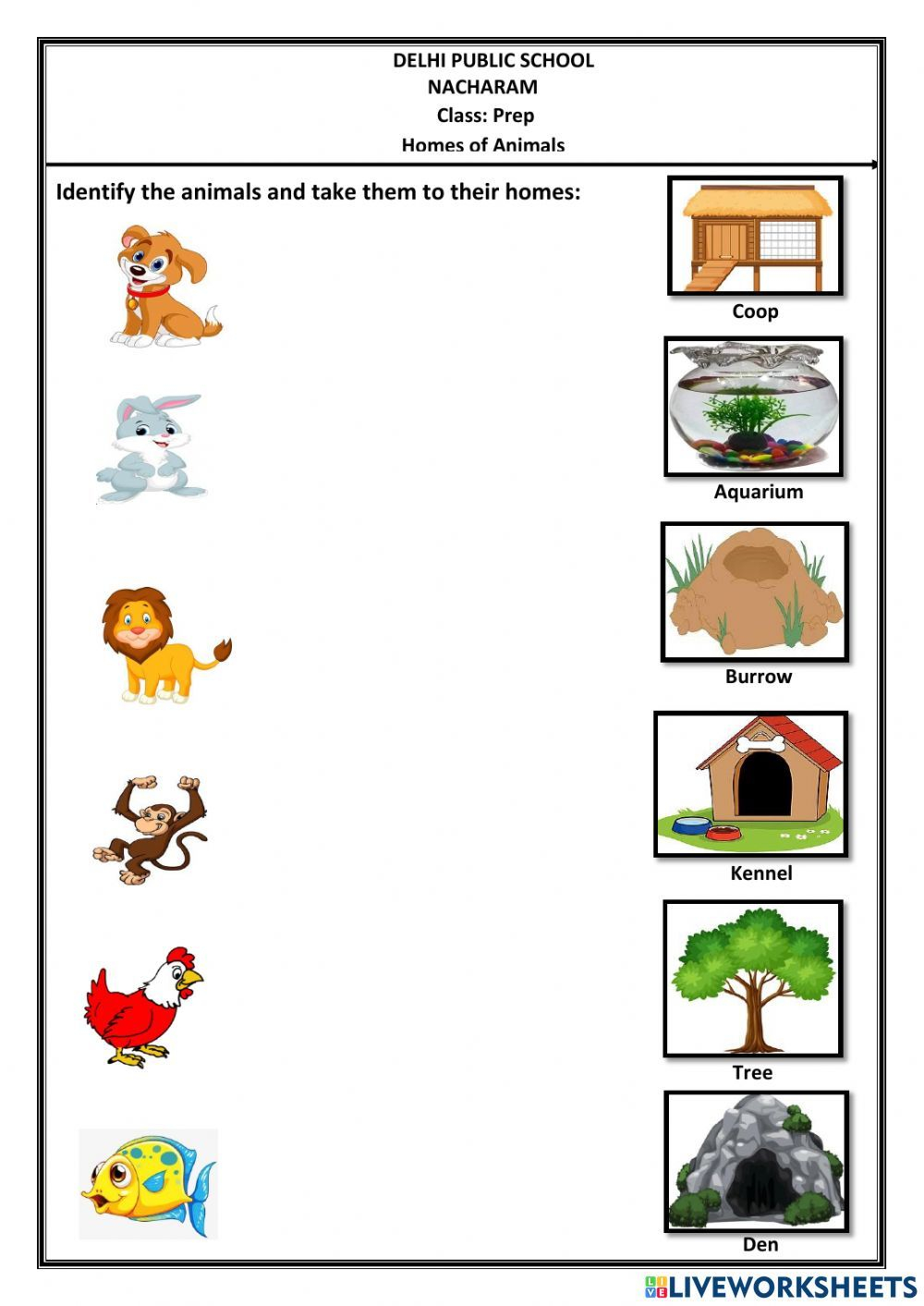 20 Evs Worksheets For Kindergarten On Animals