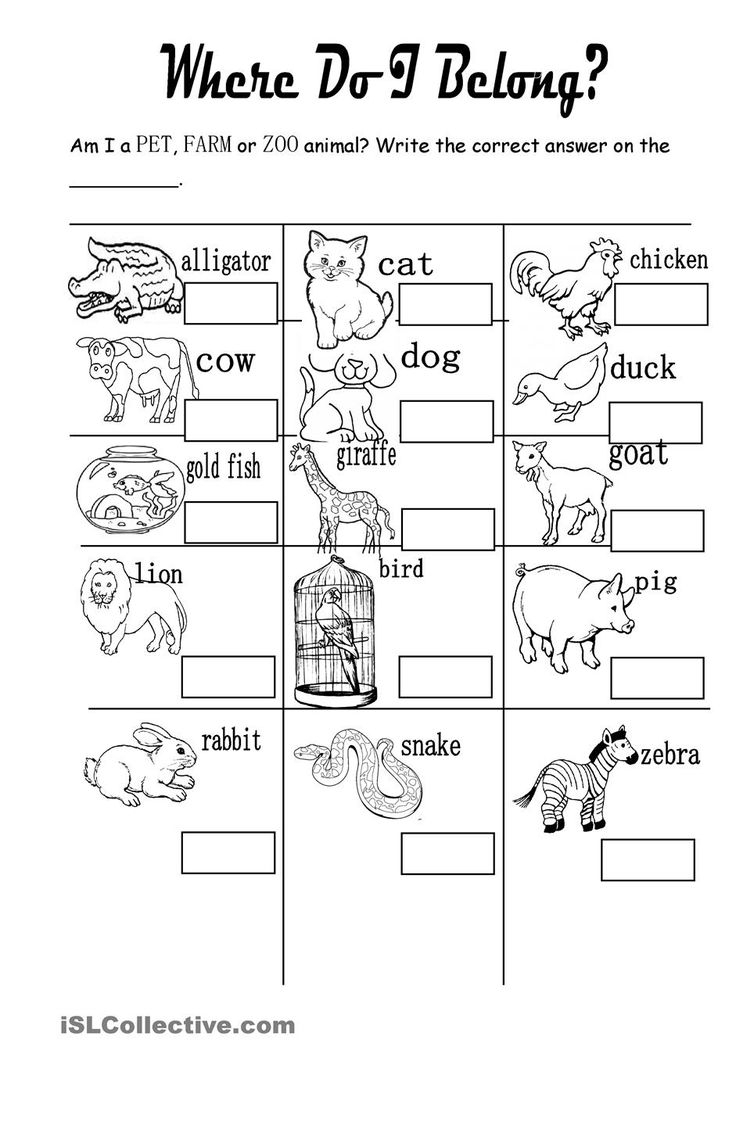 20 Evs Worksheets For Kindergarten On Animals