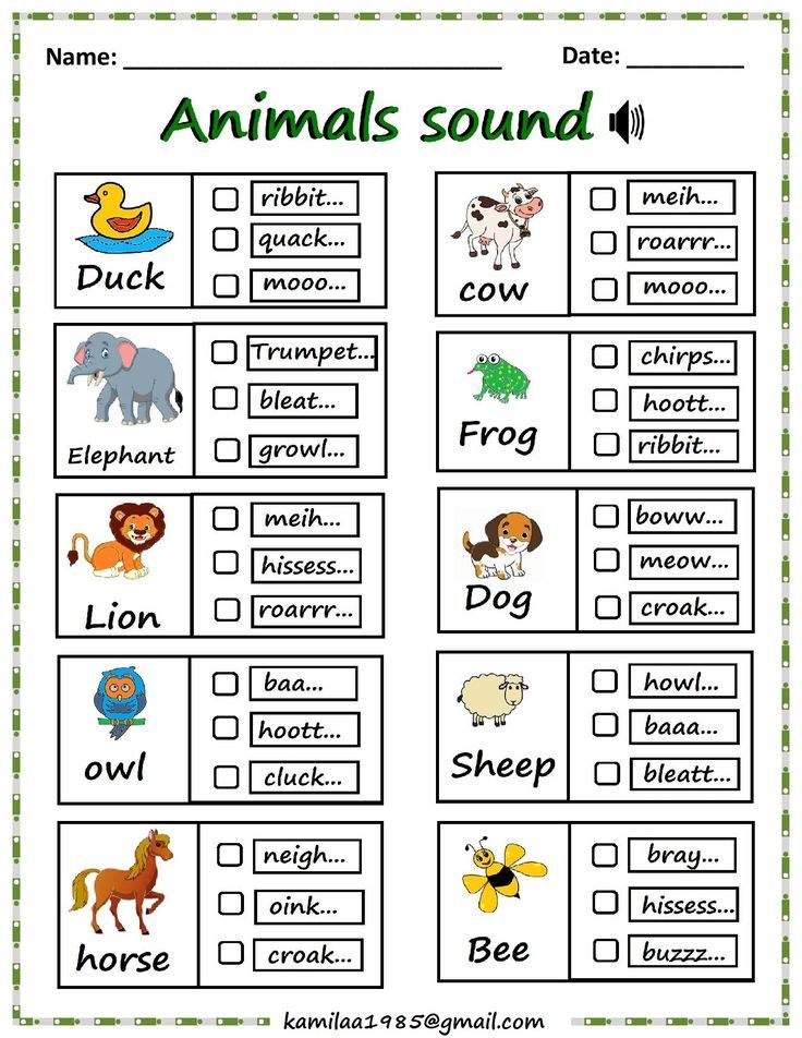 20 Evs Worksheets For Kindergarten On Animals